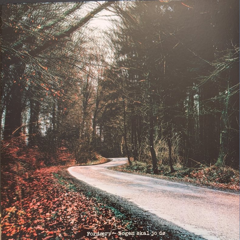 Nogen Skal Jo D� - 2025 Danish Private Pressing 11 track LP