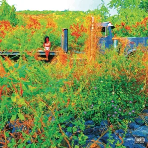 Trip - 2026 European Def Jam label Picture Disc vinyl 22-track 2LP set - RSD2026