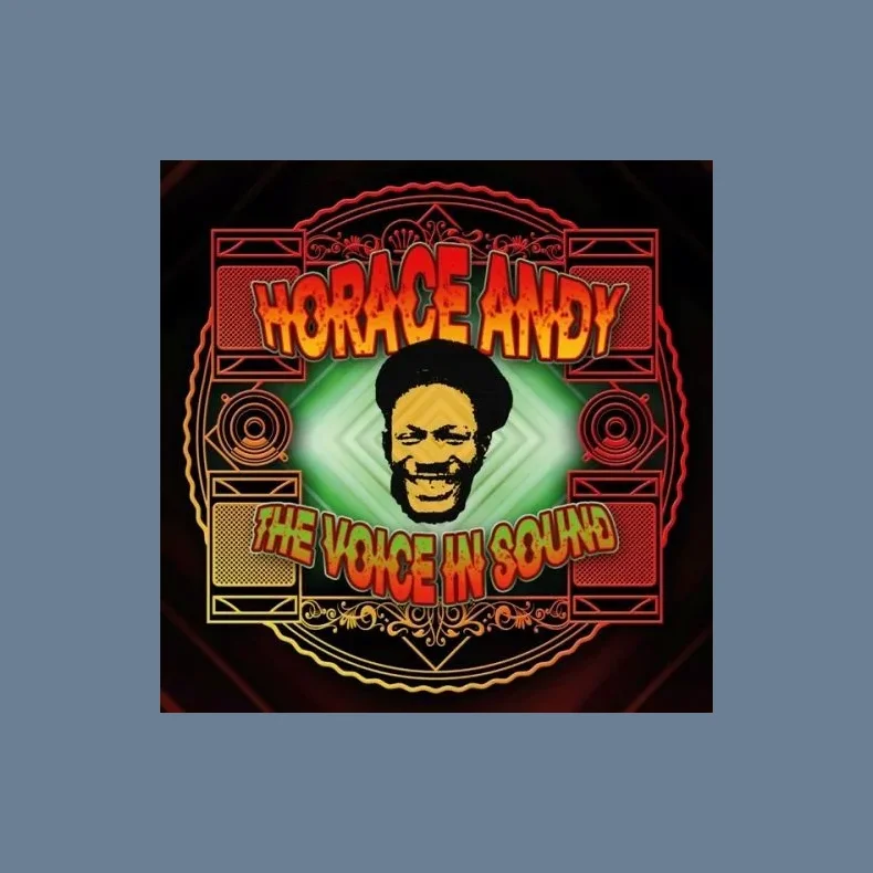 The Voice In Sound - 2026 European Echo Beach label 10-track LP+CD - RSD2026