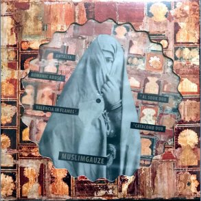 Lo-Fi India Abuse - 2023 European Other Voices Records Label Picture Disc 9-track LP Reissue