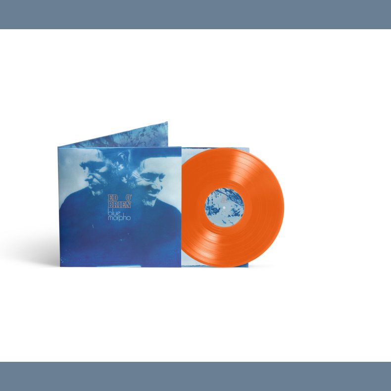 Blue Morpho - 2026 UK Transgressive label Orange vinyl 7-track LP