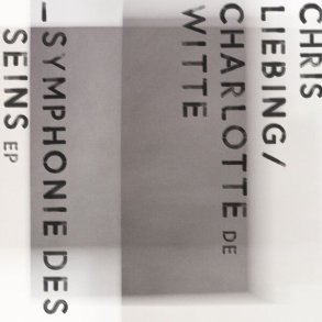 Symphonie Des Seins EP - 2026 European CLR label 2-track 12