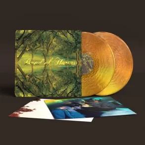 Everything All The Time - 2026 US Sub Pop Records Label Yellow Vinyl 19-track 2LP Reissue