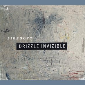 Drizzle Invizible - 2026 Danish Privately Pressed 10-track CD