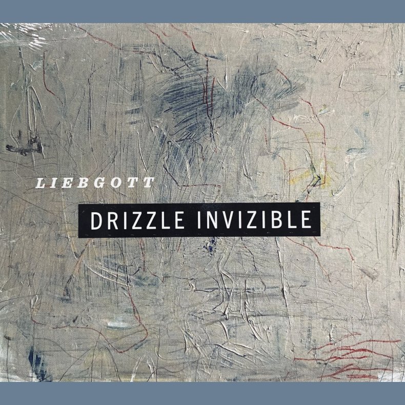 Drizzle Invizible - 2026 Danish Privately Pressed 10-track CD