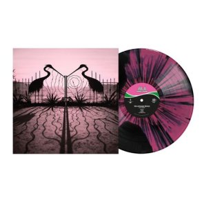 Soft Control - 2026 European BMG Records Label Pink/Black Smush Splatter 10-track LP (Pre-Order)