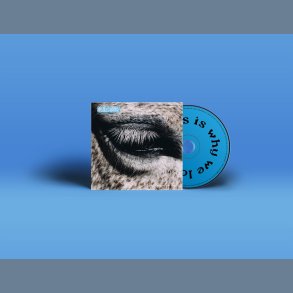 This Is Why We Lost - 2026 Danish Stunt label 10-track CD
