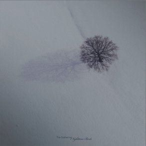 Nighttime Birds - 2021 European Psychonaut label 9-track LP Reissue