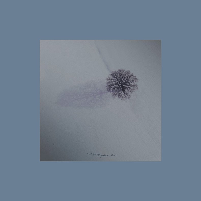 Nighttime Birds - 2021 European Psychonaut label 9-track LP Reissue