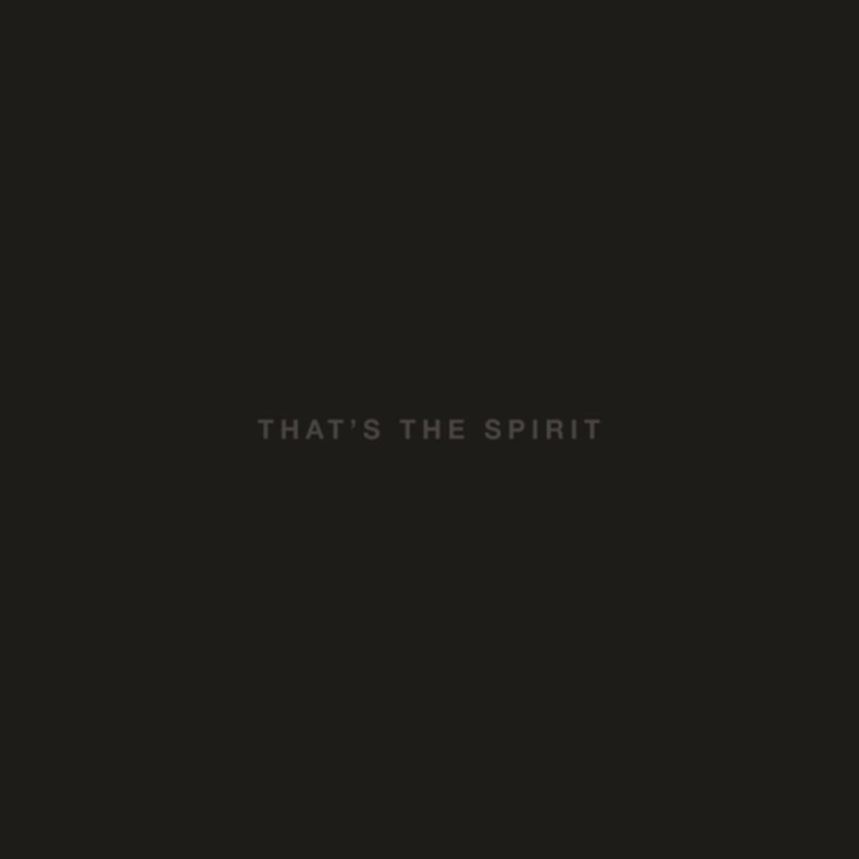 That's The Spirit - 2015 European RCA label 11-track LP+CD