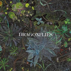 Dragonflies - 2026 European BMG Label 8-track LP (Pre-Order)