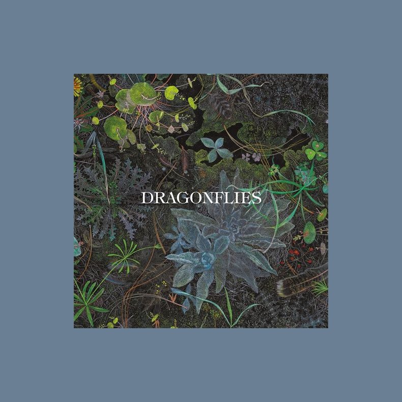 Dragonflies - 2026 European BMG Label 8-track LP (Pre-Order)