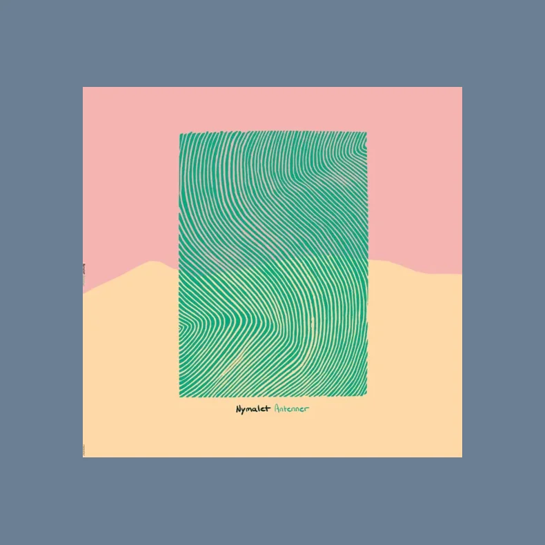 Antenner / Har Brug For At Sove - 2026 Danish Playground label 3-track 10"