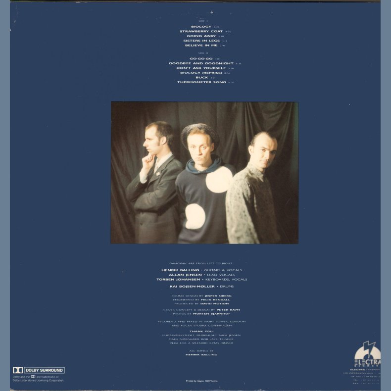 The Quiet Boy Ate The Whole Cake