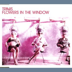 Flowers In The Window