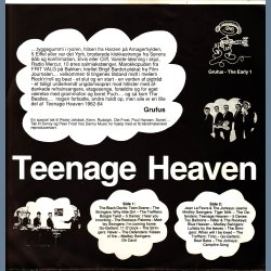 Teenage Heaven - Rare 1989 Grufus label Limited Edition 21-track compilation LP