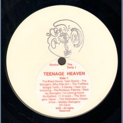 Teenage Heaven - Rare 1989 Grufus label Limited Edition 21-track compilation LP