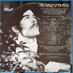 The Forest Of My Mind