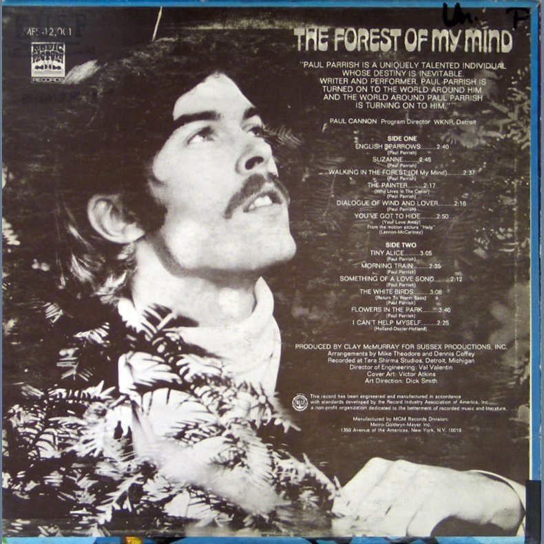 The Forest Of My Mind