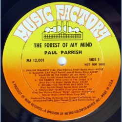 The Forest Of My Mind