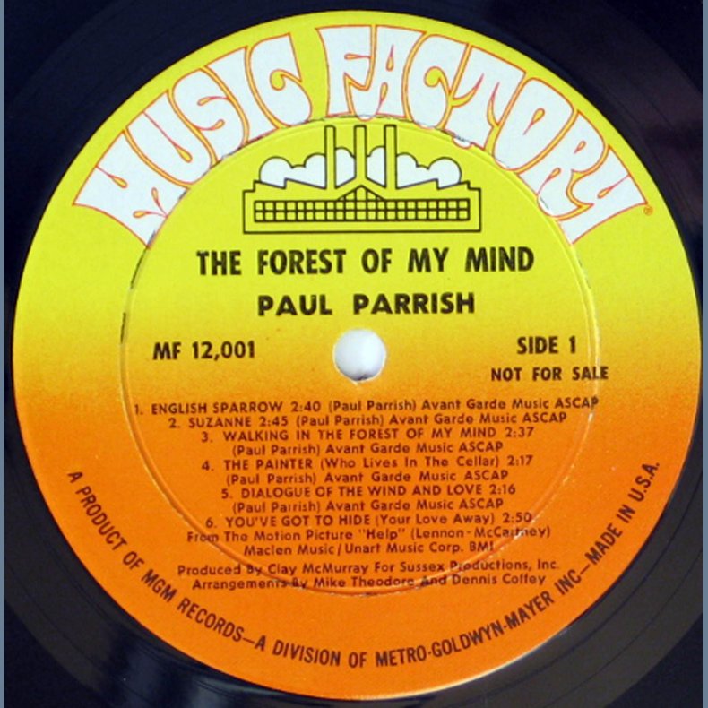 The Forest Of My Mind