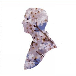 Miracles - 2003 Dutch pressed 3-track CD Single