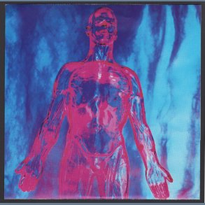 Sliver b/w Dive  - Original 1990 US Sub Pop Label 2-track 7