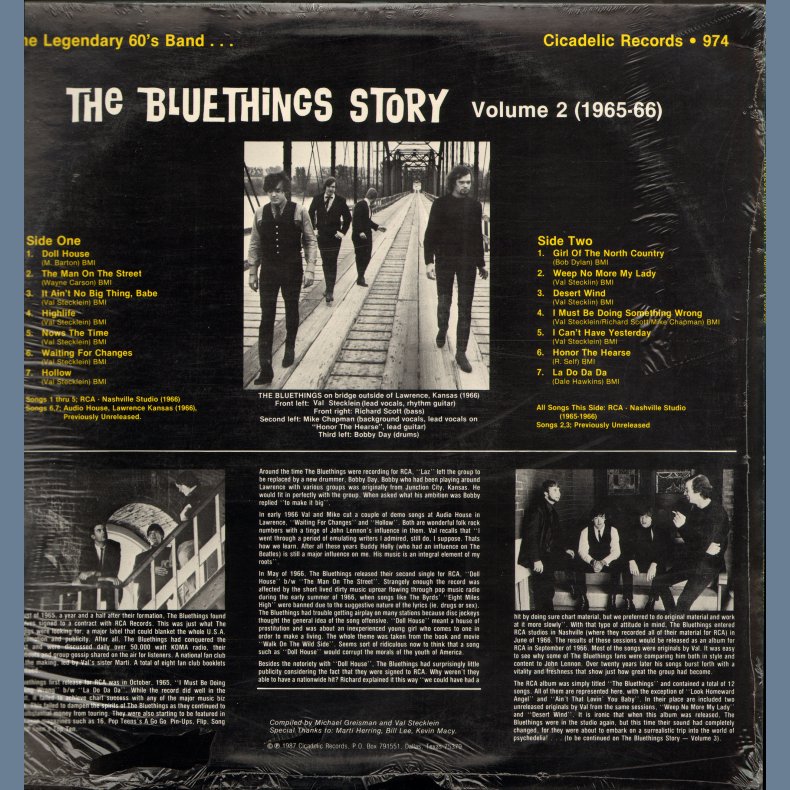 The Blue Things Story vol.2 (65-66)