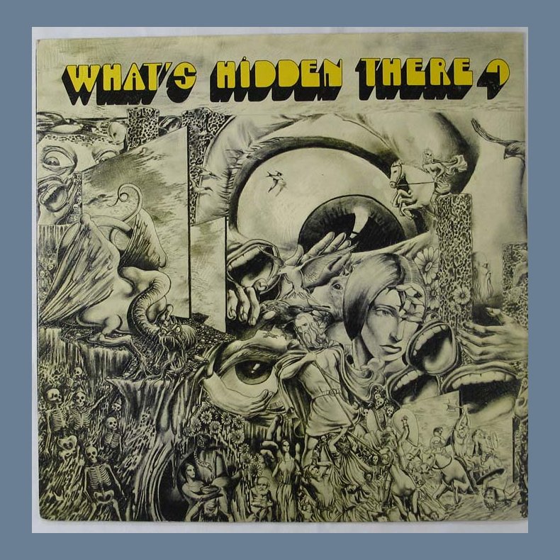 What's Hidden There?