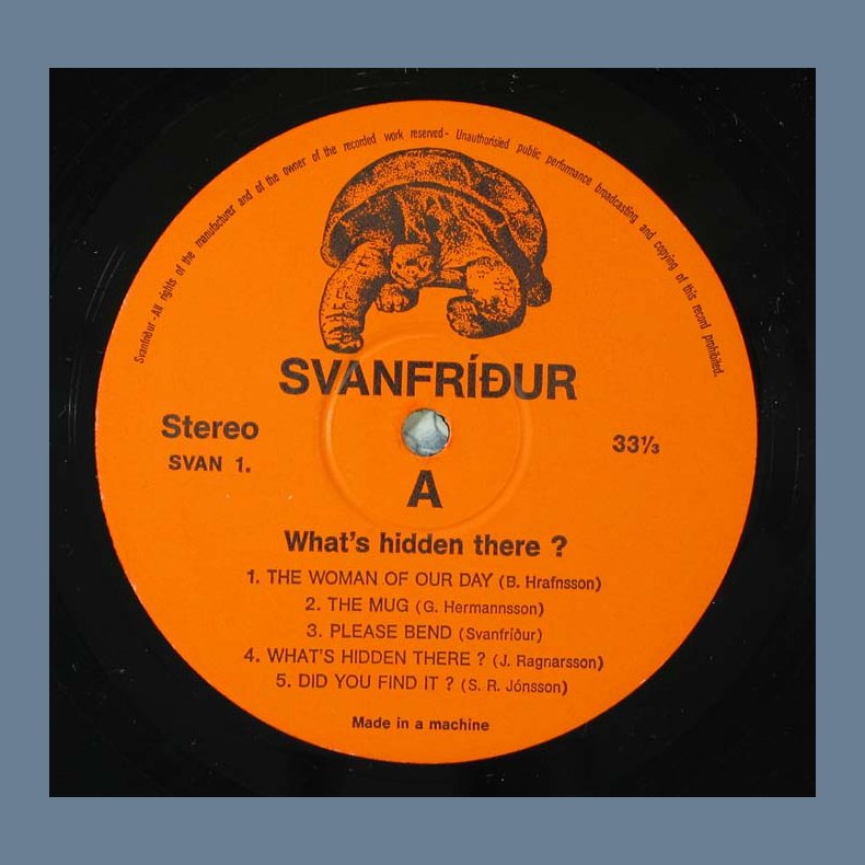 What's Hidden There?