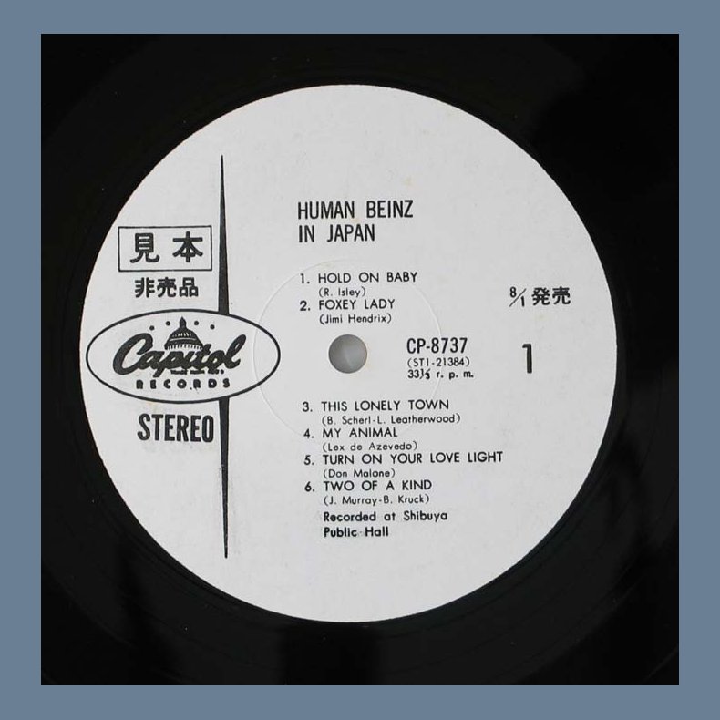 Human Beinz In Japan