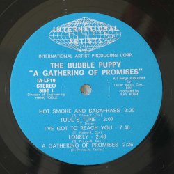 A Gathering of Promises