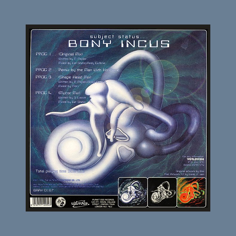 Subject Status... Bony Incus