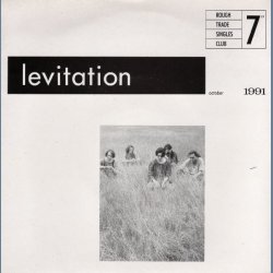 Squirrel b/w It's time