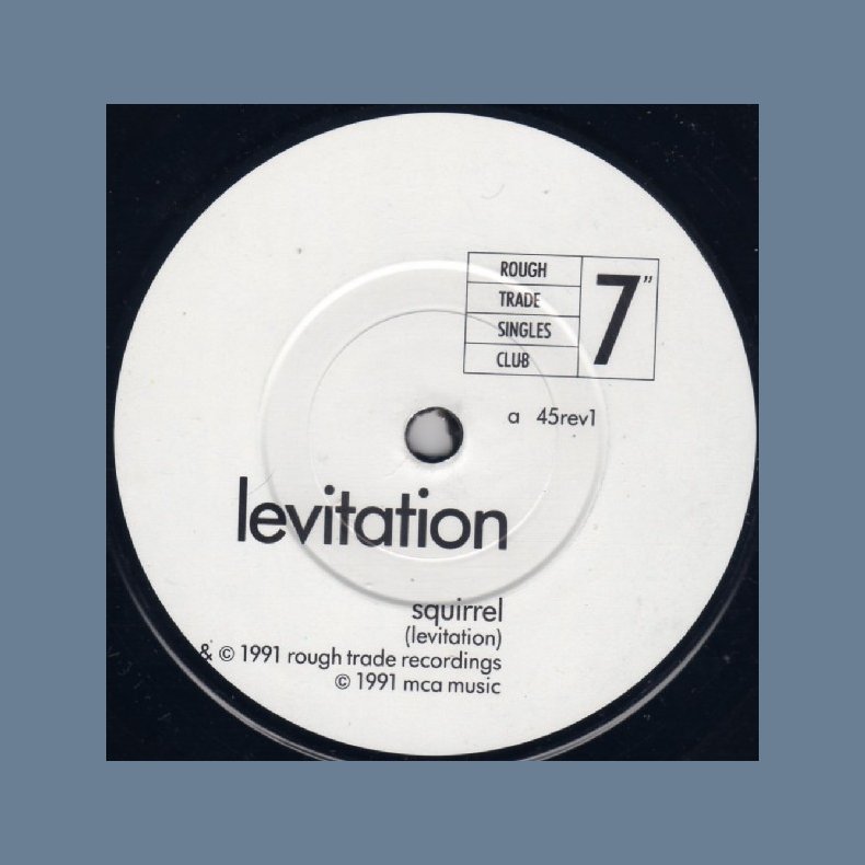 Squirrel b/w It's time