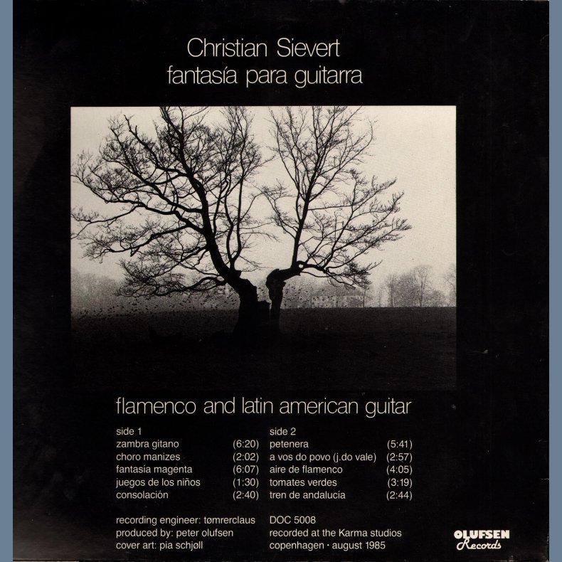 Fantas&iacute;a para guitarra